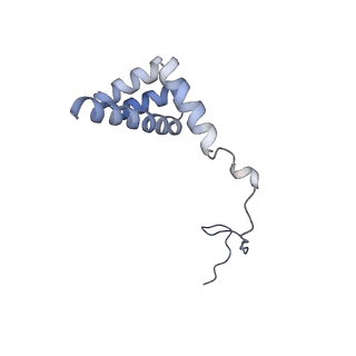 4132_5lzu_i_v1-4
Structure of the mammalian ribosomal termination complex with accommodated eRF1