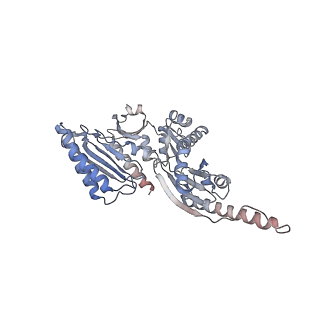 4132_5lzu_ii_v1-4
Structure of the mammalian ribosomal termination complex with accommodated eRF1