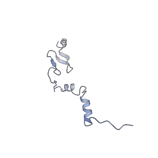 4132_5lzu_j_v1-4
Structure of the mammalian ribosomal termination complex with accommodated eRF1