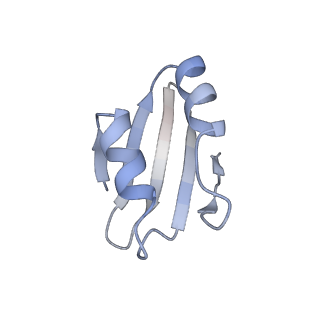 4132_5lzu_k_v1-4
Structure of the mammalian ribosomal termination complex with accommodated eRF1