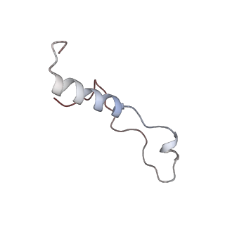 4132_5lzu_l_v1-4
Structure of the mammalian ribosomal termination complex with accommodated eRF1