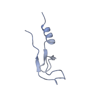 4132_5lzu_m_v1-4
Structure of the mammalian ribosomal termination complex with accommodated eRF1