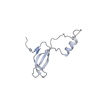 4132_5lzu_o_v1-4
Structure of the mammalian ribosomal termination complex with accommodated eRF1