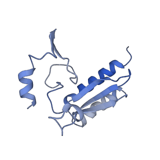 4132_5lzu_r_v1-4
Structure of the mammalian ribosomal termination complex with accommodated eRF1