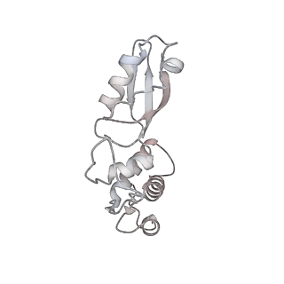 4132_5lzu_t_v1-4
Structure of the mammalian ribosomal termination complex with accommodated eRF1