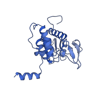 4133_5lzv_AA_v1-4
Structure of the mammalian ribosomal termination complex with accommodated eRF1(AAQ) and ABCE1.