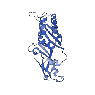 4133_5lzv_BB_v1-4
Structure of the mammalian ribosomal termination complex with accommodated eRF1(AAQ) and ABCE1.