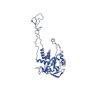 4133_5lzv_C_v1-4
Structure of the mammalian ribosomal termination complex with accommodated eRF1(AAQ) and ABCE1.