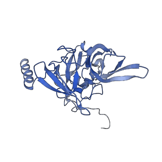 4133_5lzv_EE_v1-4
Structure of the mammalian ribosomal termination complex with accommodated eRF1(AAQ) and ABCE1.
