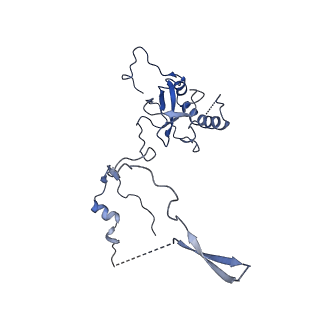 4133_5lzv_E_v1-4
Structure of the mammalian ribosomal termination complex with accommodated eRF1(AAQ) and ABCE1.
