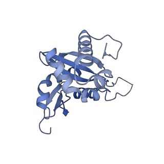 4133_5lzv_HH_v1-4
Structure of the mammalian ribosomal termination complex with accommodated eRF1(AAQ) and ABCE1.