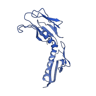 4133_5lzv_H_v1-4
Structure of the mammalian ribosomal termination complex with accommodated eRF1(AAQ) and ABCE1.