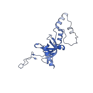 4133_5lzv_II_v1-4
Structure of the mammalian ribosomal termination complex with accommodated eRF1(AAQ) and ABCE1.
