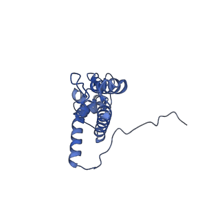4133_5lzv_JJ_v1-4
Structure of the mammalian ribosomal termination complex with accommodated eRF1(AAQ) and ABCE1.