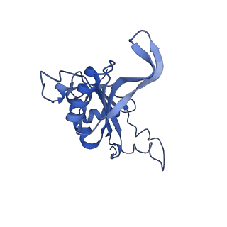 4133_5lzv_J_v1-4
Structure of the mammalian ribosomal termination complex with accommodated eRF1(AAQ) and ABCE1.