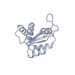 4133_5lzv_MM_v1-4
Structure of the mammalian ribosomal termination complex with accommodated eRF1(AAQ) and ABCE1.