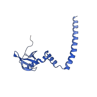 4133_5lzv_M_v1-4
Structure of the mammalian ribosomal termination complex with accommodated eRF1(AAQ) and ABCE1.