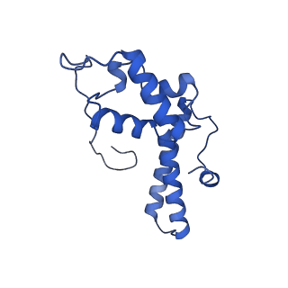4133_5lzv_NN_v1-4
Structure of the mammalian ribosomal termination complex with accommodated eRF1(AAQ) and ABCE1.