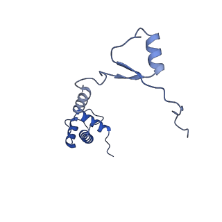 4133_5lzv_RR_v1-4
Structure of the mammalian ribosomal termination complex with accommodated eRF1(AAQ) and ABCE1.