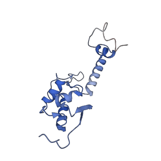 4133_5lzv_SS_v1-4
Structure of the mammalian ribosomal termination complex with accommodated eRF1(AAQ) and ABCE1.