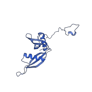 4133_5lzv_S_v1-4
Structure of the mammalian ribosomal termination complex with accommodated eRF1(AAQ) and ABCE1.