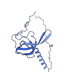 4133_5lzv_T_v1-4
Structure of the mammalian ribosomal termination complex with accommodated eRF1(AAQ) and ABCE1.