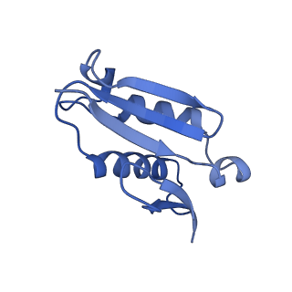 4133_5lzv_U_v1-4
Structure of the mammalian ribosomal termination complex with accommodated eRF1(AAQ) and ABCE1.