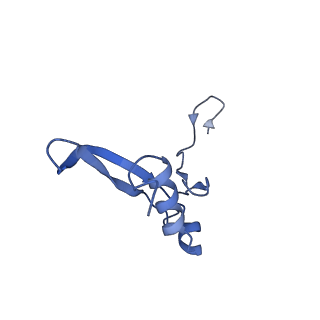 4133_5lzv_VV_v1-4
Structure of the mammalian ribosomal termination complex with accommodated eRF1(AAQ) and ABCE1.