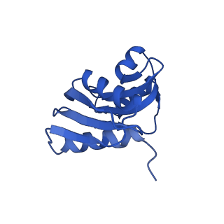4133_5lzv_WW_v1-4
Structure of the mammalian ribosomal termination complex with accommodated eRF1(AAQ) and ABCE1.