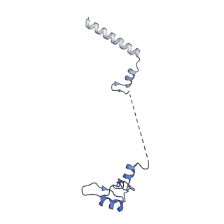 4133_5lzv_W_v1-4
Structure of the mammalian ribosomal termination complex with accommodated eRF1(AAQ) and ABCE1.
