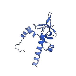 4133_5lzv_Y_v1-4
Structure of the mammalian ribosomal termination complex with accommodated eRF1(AAQ) and ABCE1.