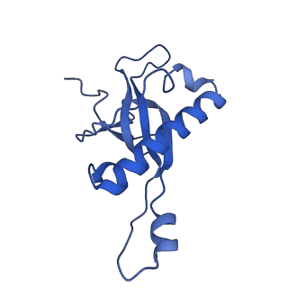 4133_5lzv_Z_v1-4
Structure of the mammalian ribosomal termination complex with accommodated eRF1(AAQ) and ABCE1.