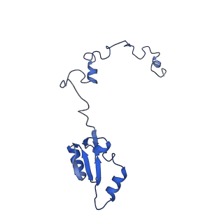 4133_5lzv_a_v1-4
Structure of the mammalian ribosomal termination complex with accommodated eRF1(AAQ) and ABCE1.
