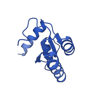 4133_5lzv_c_v1-4
Structure of the mammalian ribosomal termination complex with accommodated eRF1(AAQ) and ABCE1.