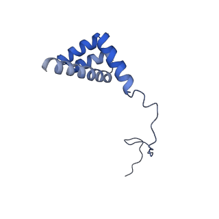 4133_5lzv_i_v1-4
Structure of the mammalian ribosomal termination complex with accommodated eRF1(AAQ) and ABCE1.