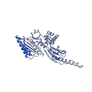 4133_5lzv_ii_v1-4
Structure of the mammalian ribosomal termination complex with accommodated eRF1(AAQ) and ABCE1.