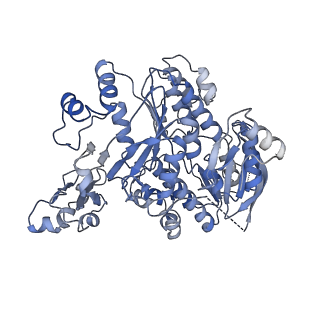 4133_5lzv_jj_v1-4
Structure of the mammalian ribosomal termination complex with accommodated eRF1(AAQ) and ABCE1.