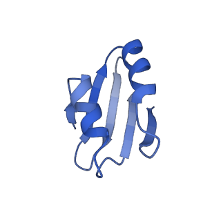 4133_5lzv_k_v1-4
Structure of the mammalian ribosomal termination complex with accommodated eRF1(AAQ) and ABCE1.