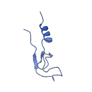 4133_5lzv_m_v1-4
Structure of the mammalian ribosomal termination complex with accommodated eRF1(AAQ) and ABCE1.