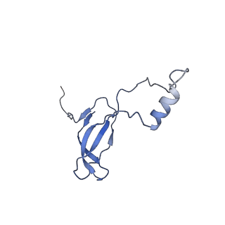 4133_5lzv_o_v1-4
Structure of the mammalian ribosomal termination complex with accommodated eRF1(AAQ) and ABCE1.