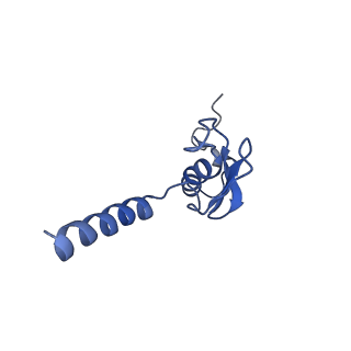 4133_5lzv_p_v1-4
Structure of the mammalian ribosomal termination complex with accommodated eRF1(AAQ) and ABCE1.