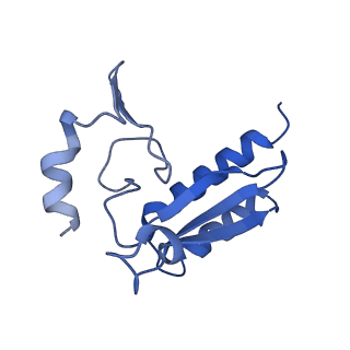 4133_5lzv_r_v1-4
Structure of the mammalian ribosomal termination complex with accommodated eRF1(AAQ) and ABCE1.