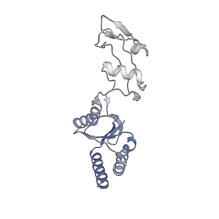 4133_5lzv_s_v1-4
Structure of the mammalian ribosomal termination complex with accommodated eRF1(AAQ) and ABCE1.