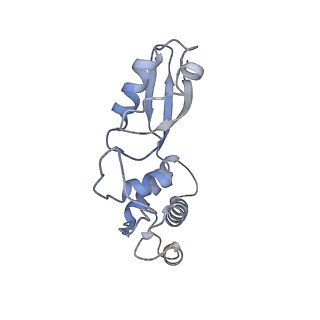4133_5lzv_t_v1-4
Structure of the mammalian ribosomal termination complex with accommodated eRF1(AAQ) and ABCE1.