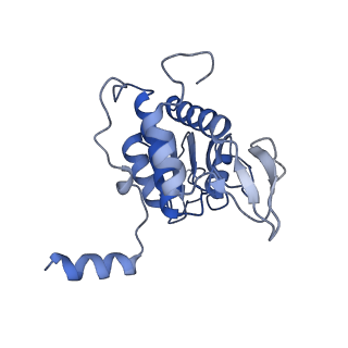 4134_5lzw_AA_v1-3
Structure of the mammalian rescue complex with Pelota and Hbs1l assembled on a truncated mRNA.