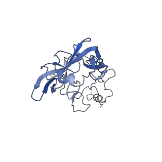 4134_5lzw_A_v1-3
Structure of the mammalian rescue complex with Pelota and Hbs1l assembled on a truncated mRNA.