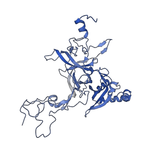 4134_5lzw_B_v1-3
Structure of the mammalian rescue complex with Pelota and Hbs1l assembled on a truncated mRNA.