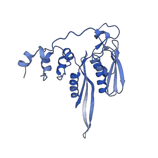 4134_5lzw_CC_v1-3
Structure of the mammalian rescue complex with Pelota and Hbs1l assembled on a truncated mRNA.
