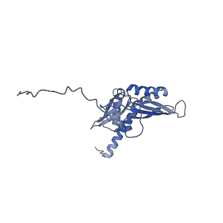 4134_5lzw_DD_v1-3
Structure of the mammalian rescue complex with Pelota and Hbs1l assembled on a truncated mRNA.