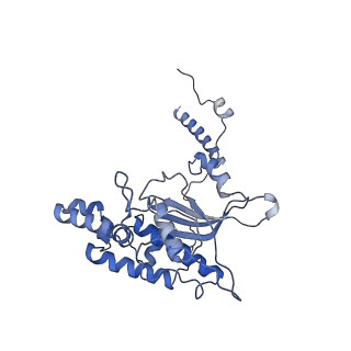 4134_5lzw_D_v1-3
Structure of the mammalian rescue complex with Pelota and Hbs1l assembled on a truncated mRNA.